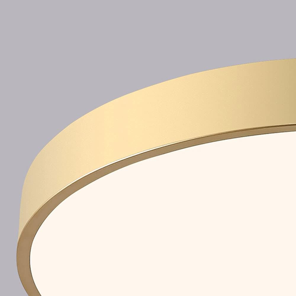 Circular Flush Mount LED Ceiling Lights