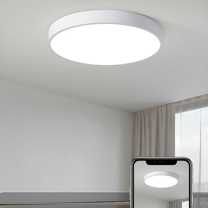 Circular Flush Mount LED Ceiling Lights
